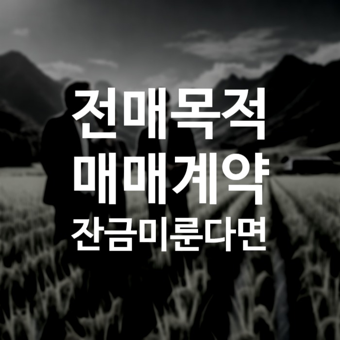 SE-82f4f352-0bde-407e-a68f-60ebb12564bc.jpg